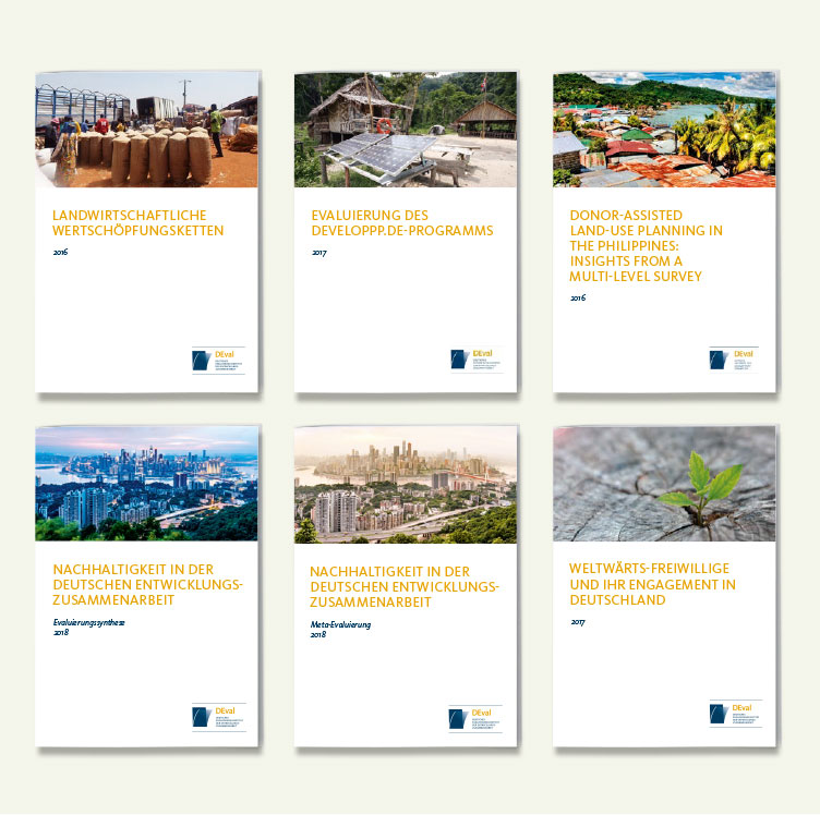 DEval Berichte DEval Berichte
